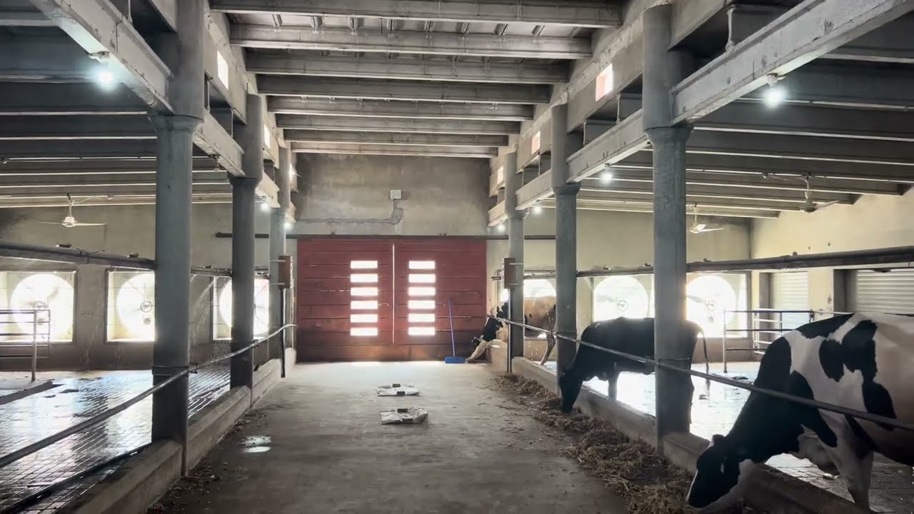 #ControlledEnvironment