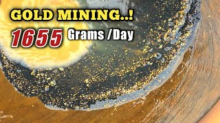 GOLD MINE || 1 DAY GET 1.6 KG || GOLD MINING