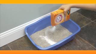 litter box deodorizer diy