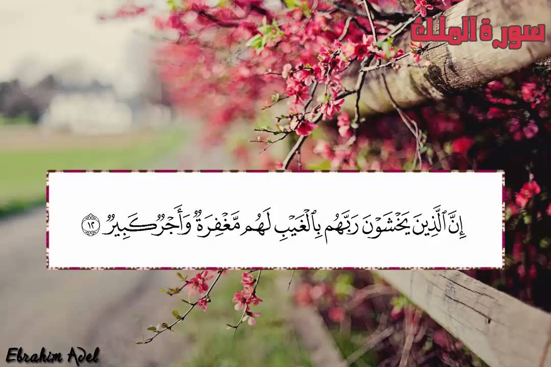 ‫سورة الملك بصوت الشيخ وديع اليمني‬‎ - YouTube