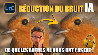 Réduction du BRUIT IA dans LIGHTROOM 2023 : ce que les autres ne vous ont pas dit !