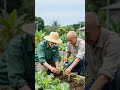 Island Where People Routinely Live Past 100 Reveals Secret