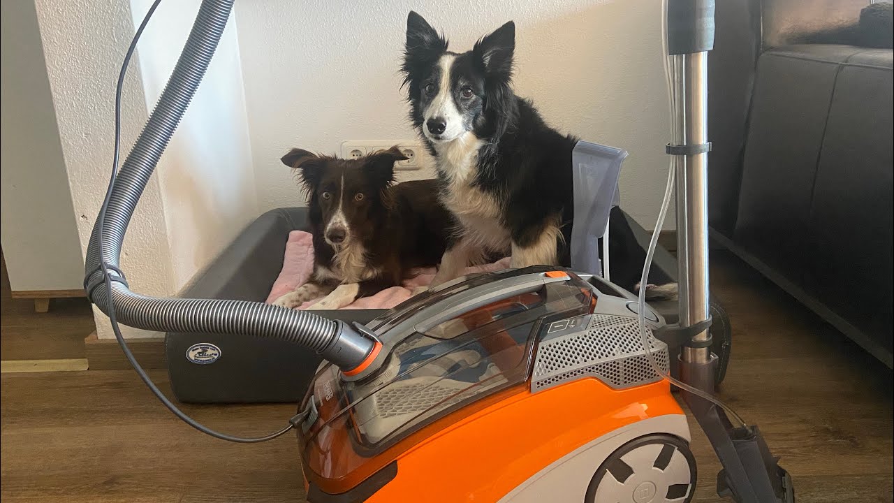 THOMAS Saugschlauch Inkl. Handgriff U. Saugkraftregulierung Pet