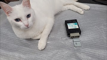 10e Mitsubishi Pajero TCU MR195408 deze maand.