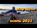 ЩУКА КЛЮЁТ ОДНА ЗА ОДНОЙ !!!  ОСЕННИЙ ЖОР ЩУКИ . ОКТЯБРЬ 2021