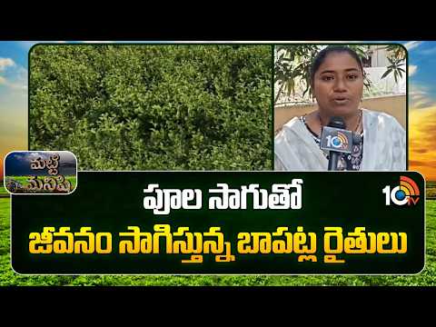 Flower Cultivation | Bapatla Farmers Success Story | పూల సాగుతో జీవనం సాగిస్తున్న బాపట్ల రైతులు - 10TVNEWSTELUGU