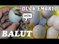 🔴ASMR Balut Duck Embryo EXOTIC DELICACY ep.52