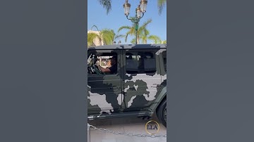 Luxury Cars, Luxury Lifestyle | CAMOUFLAGE #shorts #luxury #car