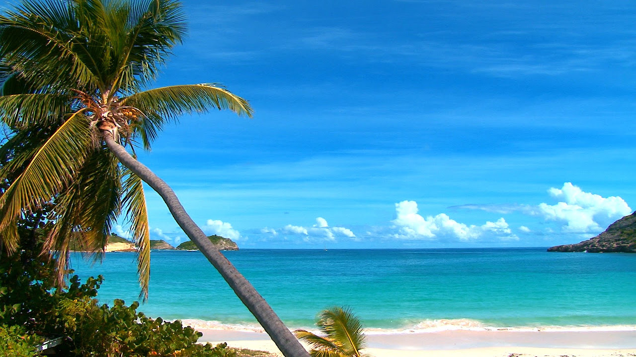Caribbean 4K Drone Nature Film - Calming Piano Music - Beautiful Beach