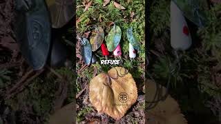 RtB Inline Spinner 3.5g - The Ultimate Trout Magnet Spinner