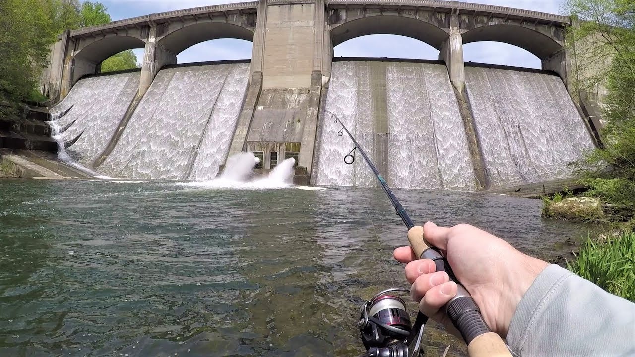 Fishing Below GIANT Spillway - LOADED with Fish!!! 