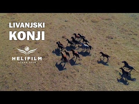 Livanjski divlji konji - Ljepote Bosne i Hercegovine iz zraka - Wild Horses - Amazing Drone Footage