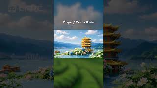 Grain Rain: When Spring Feeds the Earth 🌧️#solarterms