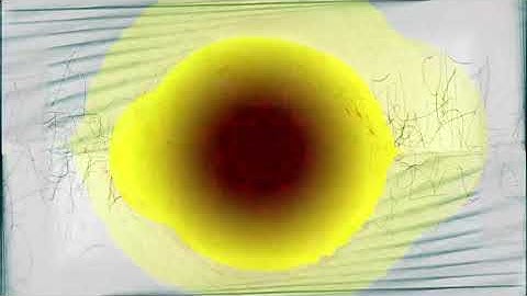 The Conjurer of No - Fake Information