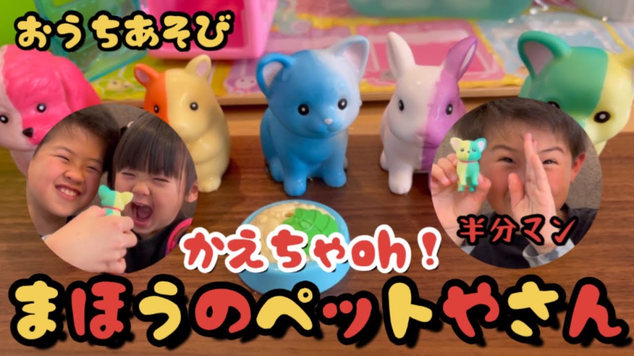 かえちゃoh！まほうのペットやさん】9歳お兄ちゃんと3歳妹で楽しく遊び