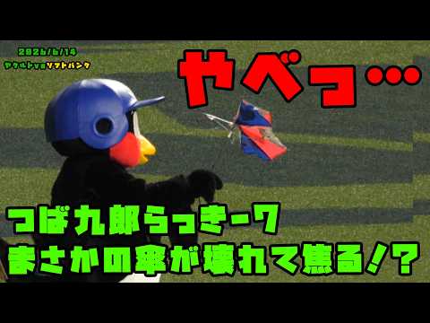 つば九郎らっきー7 まさかの傘が壊れて焦る！？ 2026/6/14 vs