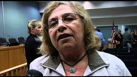 Ann Marie Buerkle talks interest rates in town hal...