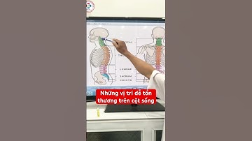 Những vị trú dễ tổn thương trên cột sống #phongkhamthanhtri #bsnguyenduyhai #daulung
