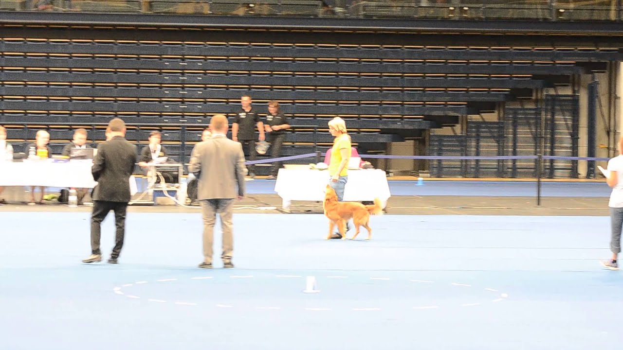 MM TOKO Finaali 2014 08 08 156