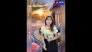 小贝壳之恋 苦情花 为君愁 可爱的负心人-莉莉 Lily Soh