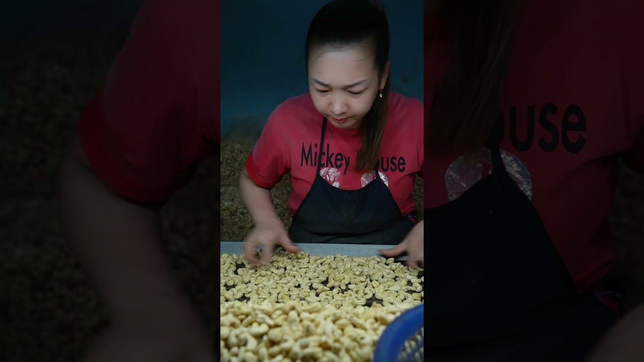 Guilding Classify Cashew Kernel | 04 Steps to Classify Cashew Kernel 