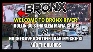 Welcome To Bronx River - Rolling 30's (Harlem Mafia crips) vs Bloods & Hughes Certified Harlem Crips