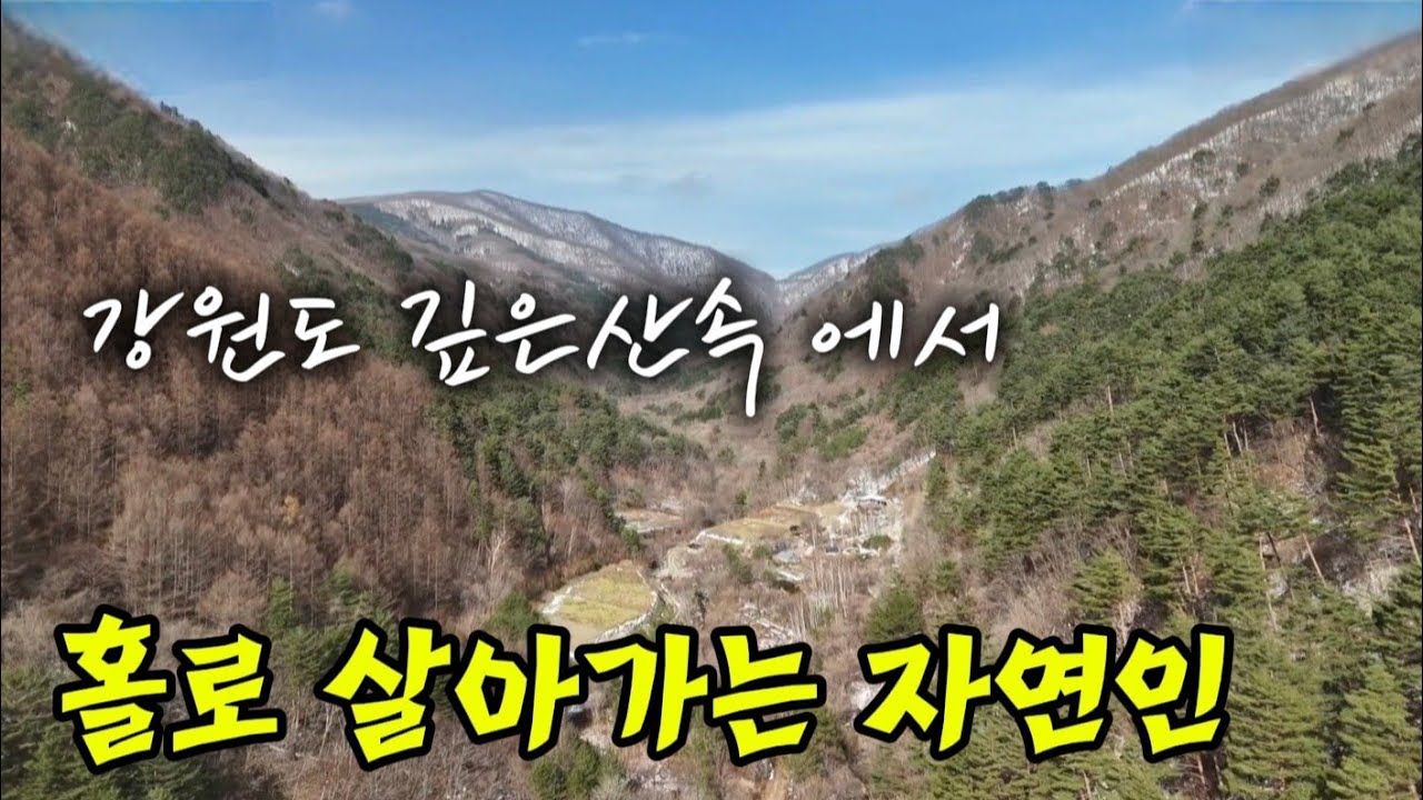 강원도 깊은산속 에 서 홀로 살아가는 자연인 