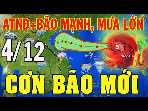 Tin bão mới
