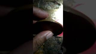 two anna east india company 1818 cooper coin mo.8249606251