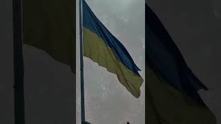 Вірш моєї дівчини. Один ранок з життя / Війна, масований обстріл.