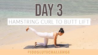 HAMSTRING CURL TO BUTT LIFT DAY 3 // BLOGILATES 100 GLUTE CHALLENGE