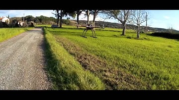 Primo Test di Volo Drone MultiWii 600mm