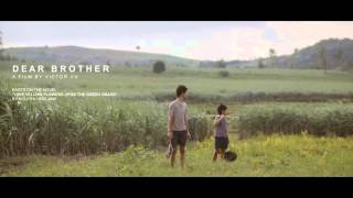 Yellow Flowers on Green Grass - Piano Version - Beautiful Piano Music