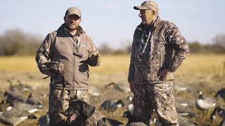 How to train your duck dog to ignore decoys and other distractions during the hunt