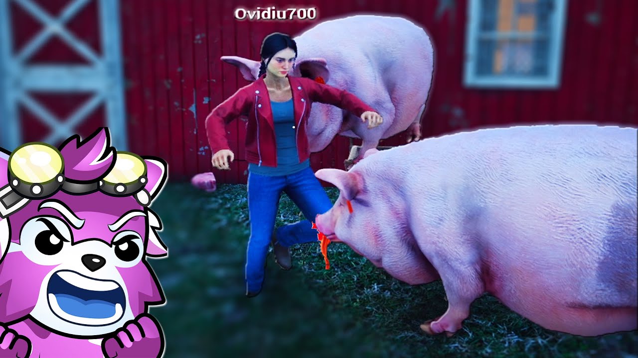 GRASUNII L-AU ATACAT PE OVIDIU! L-au Muscat? VIATA LA FERMA