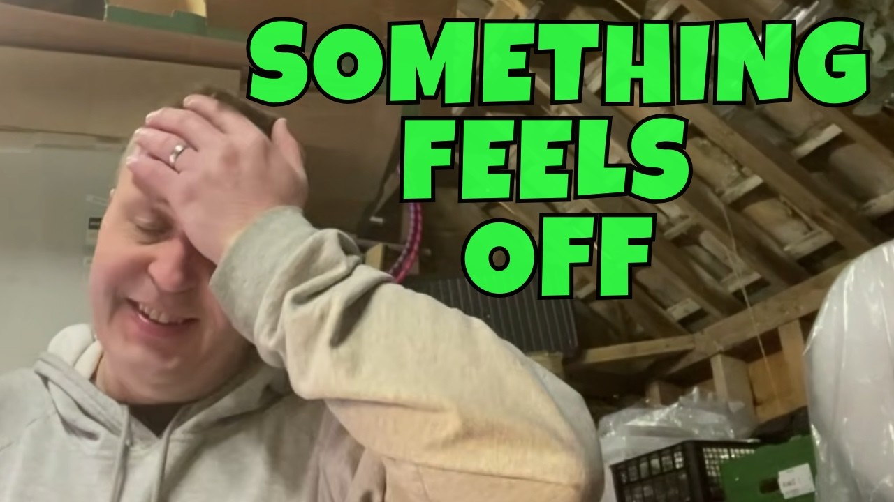 Как вы относитесь к перепродаже? | Перепродавец на eBay в Великобритании