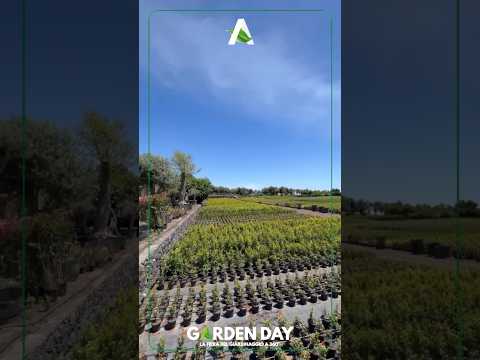 Immergiti nel verde