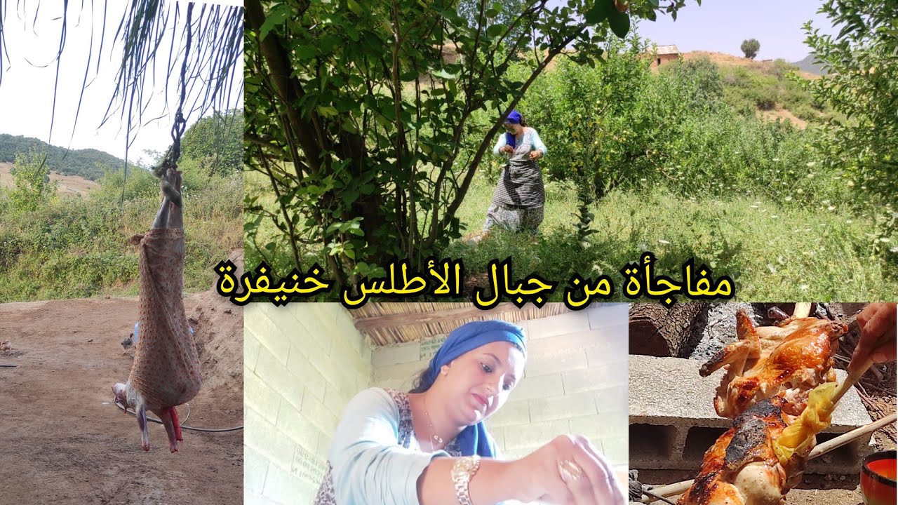 فلوك من جبال الأطلس خنيفرة اجواء البساطة و السعادة مفاجأة من صديقتي🥰 سبحان مبدل الاحوال 😱