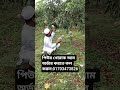 ভালো কিছু আম আসছে অর্ডার করতে নাম:ঠিকানা:মোবাইল:দিয়ে হেল্প করুন।#পিউর #01703473826 #mango