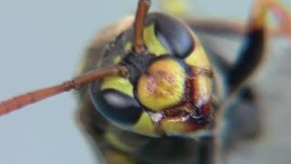 覆せなかった運命