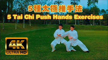 5 Tai Chi Push Hands Exercises 5种太极推手法