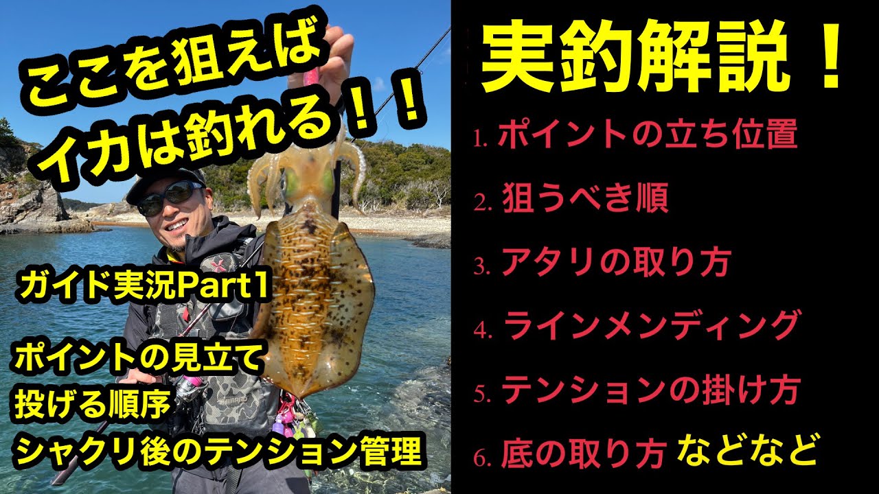 こんな狙い所知っていましたか？意外にこう言うところにイカがいるんです。ガイド編Part1