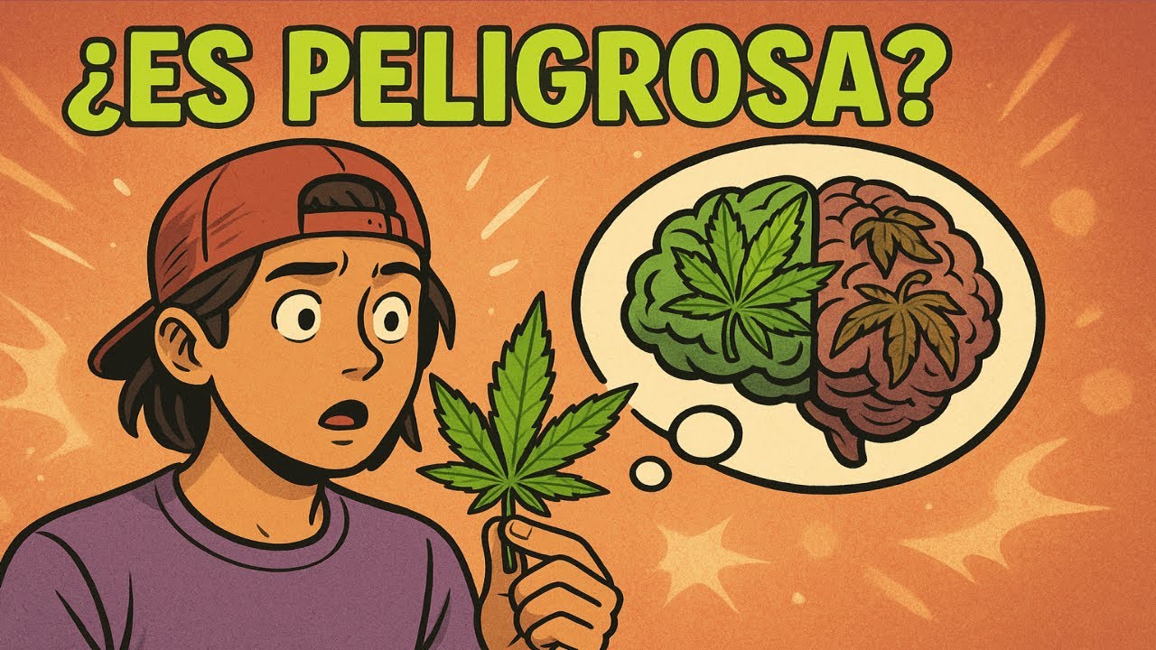 🤔Todo lo que necesitas saber sobre la Marihuana 🌿