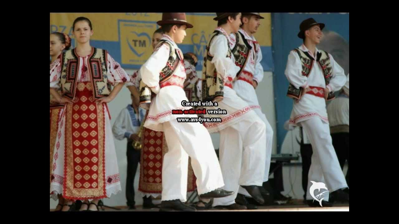 Dialecte şi graiuri româneşti