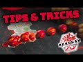 5 Tips for BAKUGAN ROLLING Practice - Jett's Tips & Tricks  |  BAKUGAN BATTLE PLANET