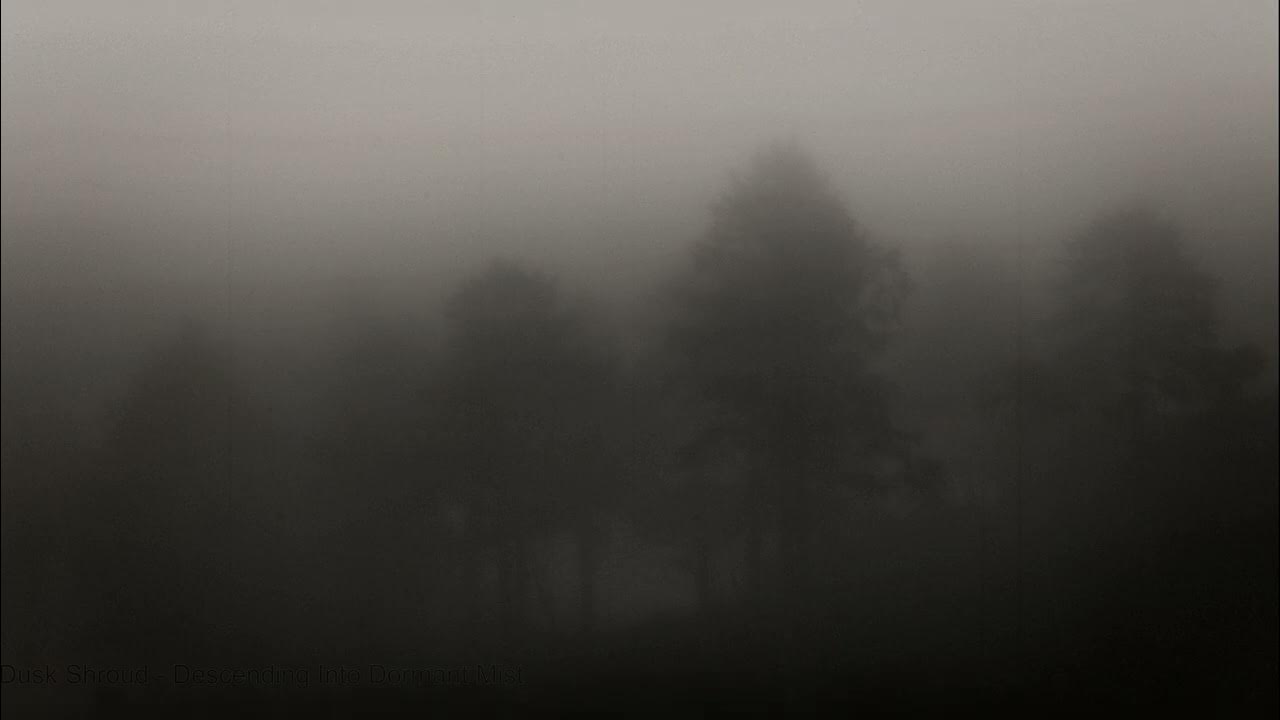 Strong fog. Strong fog