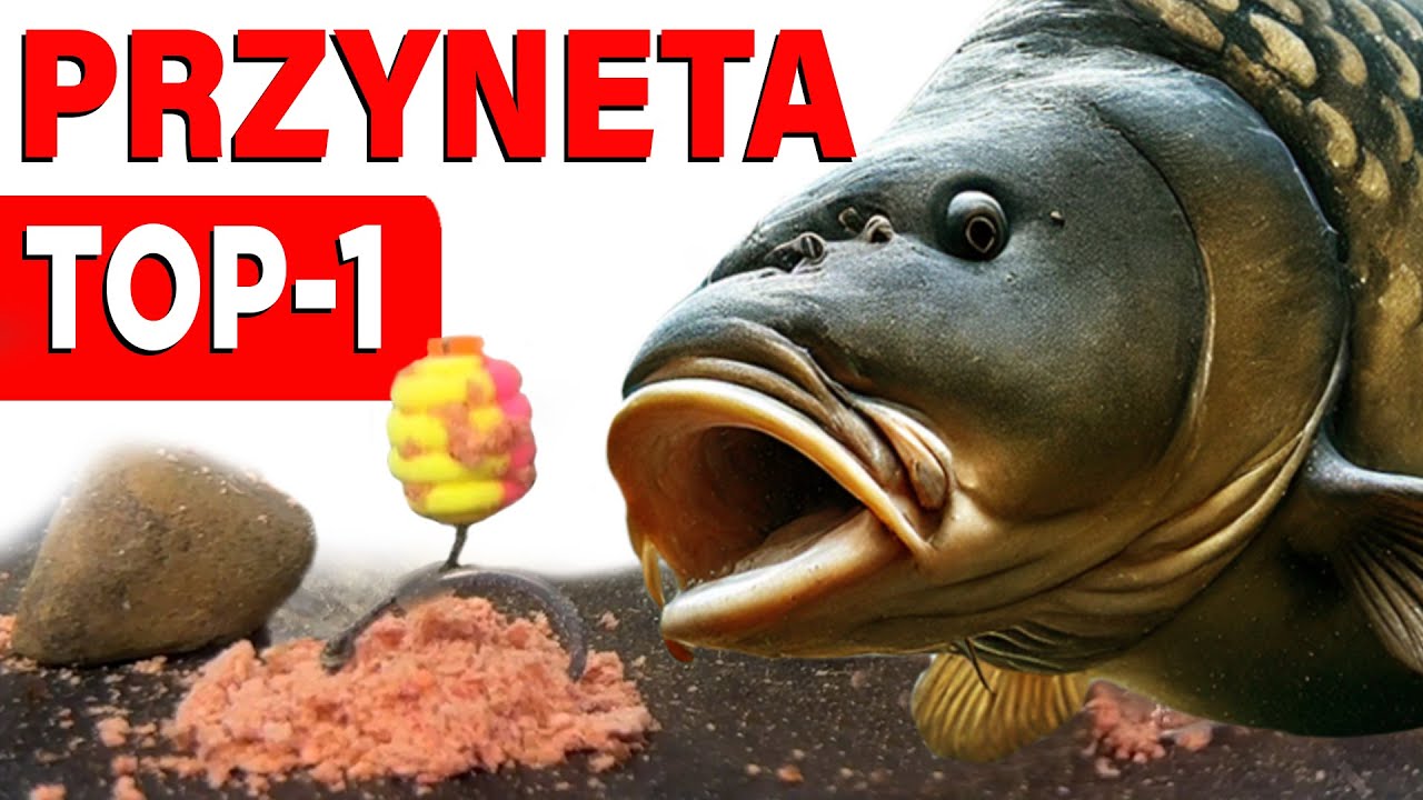 Oto sekret SKUTECZNEJ przynęty karpiowej! Jak wybrać przynętę, na którą biorą karpie?