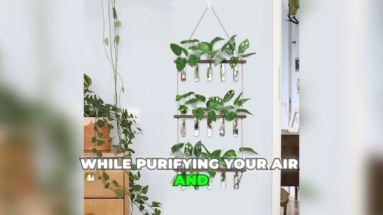 “Turn Your Wall into a Living Garden 🌿”