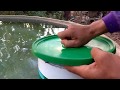 Biofiltro  - Parte 1 | A medusa | Sisteminha Embrapa Adaptado em São Vicente