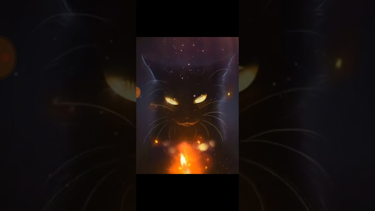 Black cat & candle YouTube